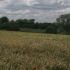 Holt Field